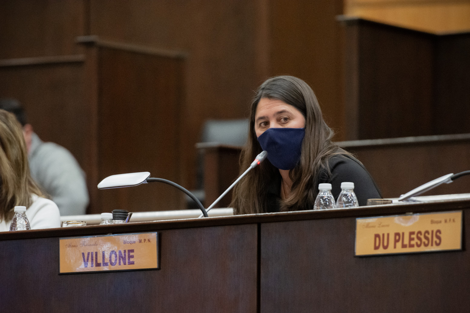 Legislatura Neuquén