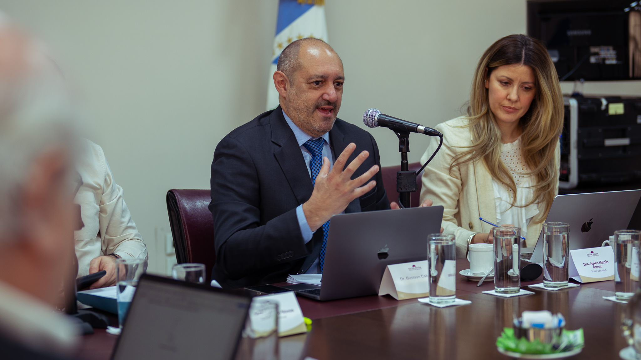 Legislatura Provincia del Neuquén