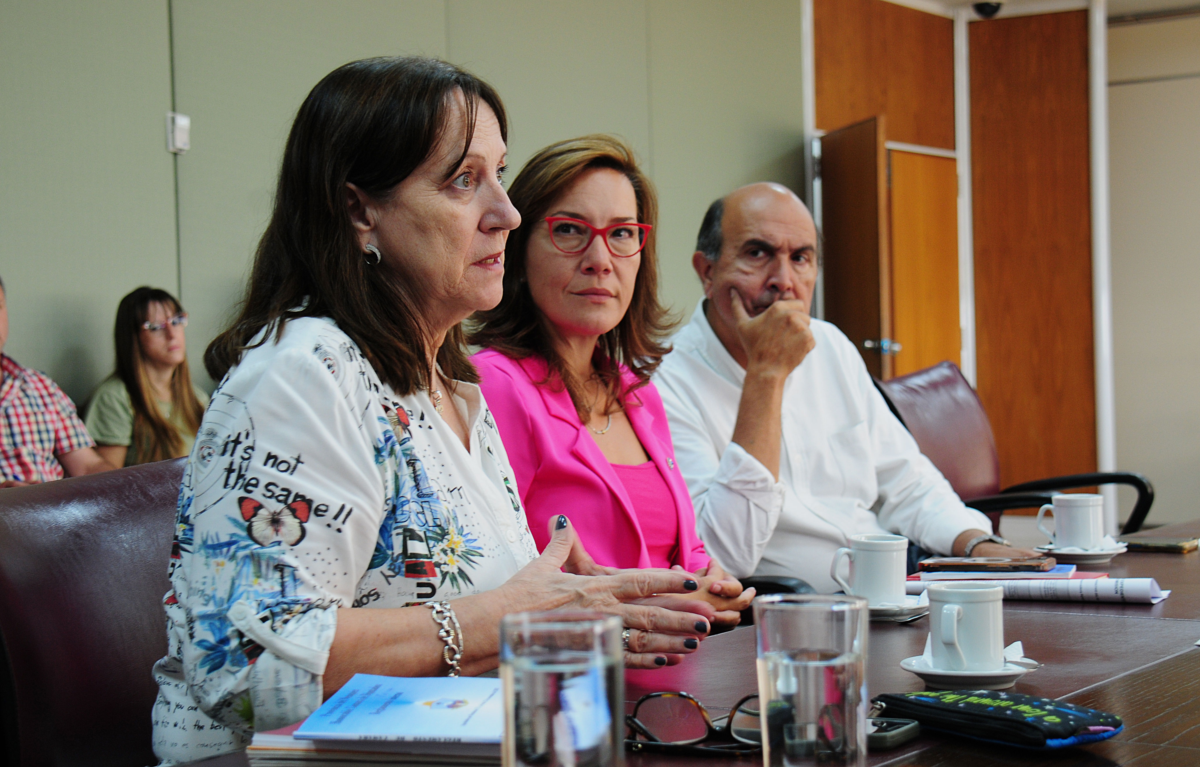 18430Comision-Especial-Juev-4-Ene_3